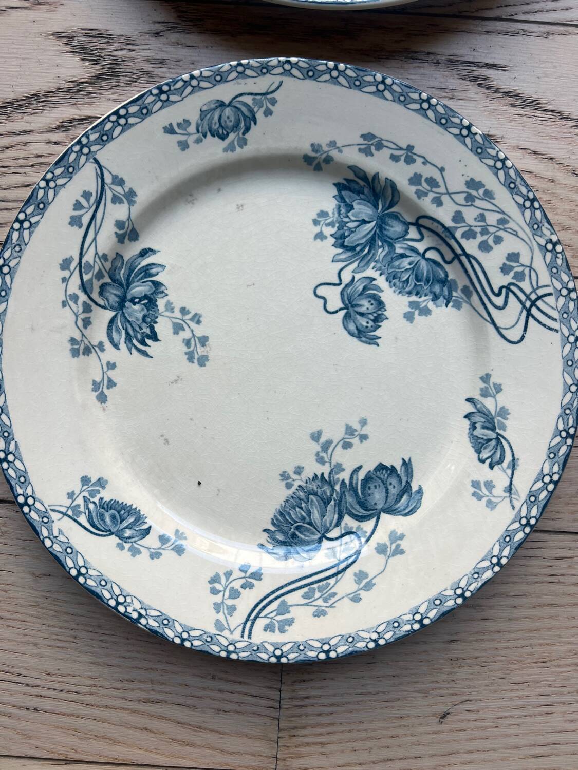 Royat Sarreguemines model flat plates