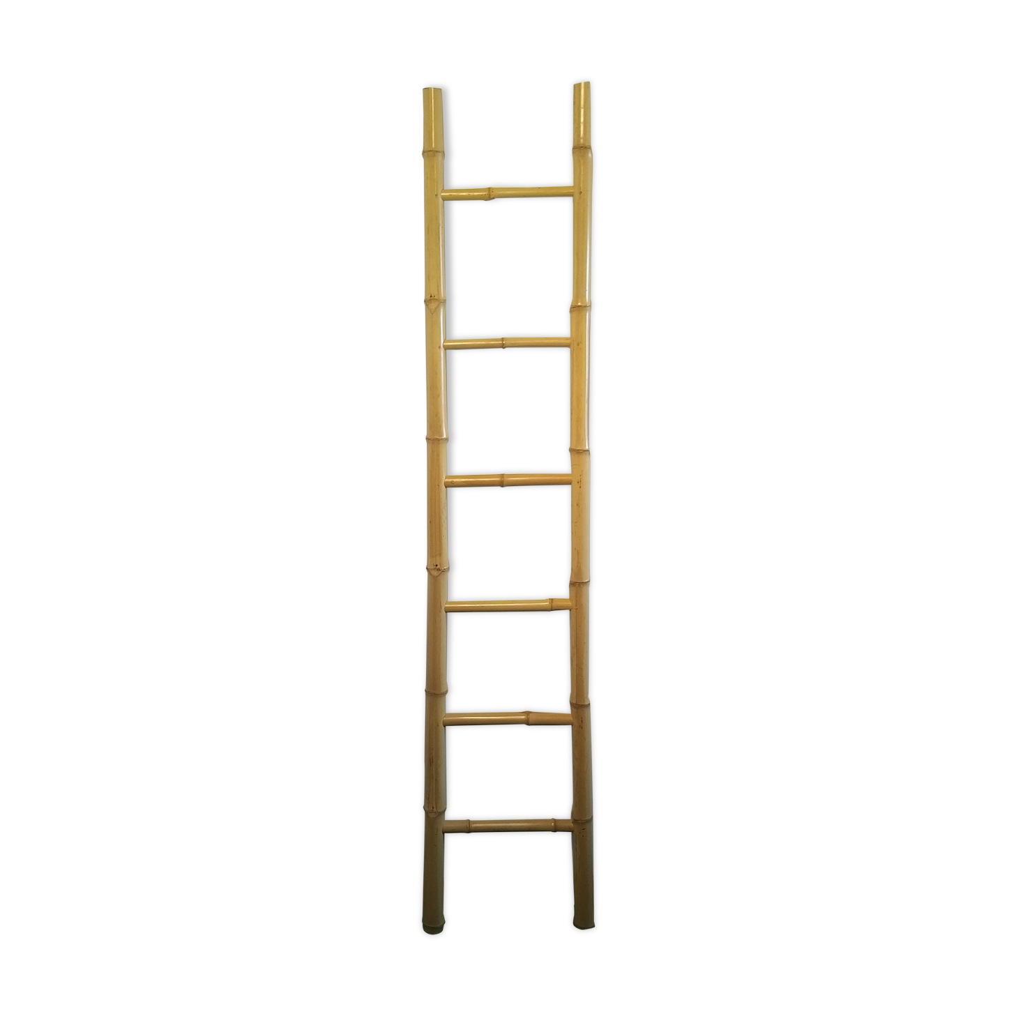 Bamboo ladder