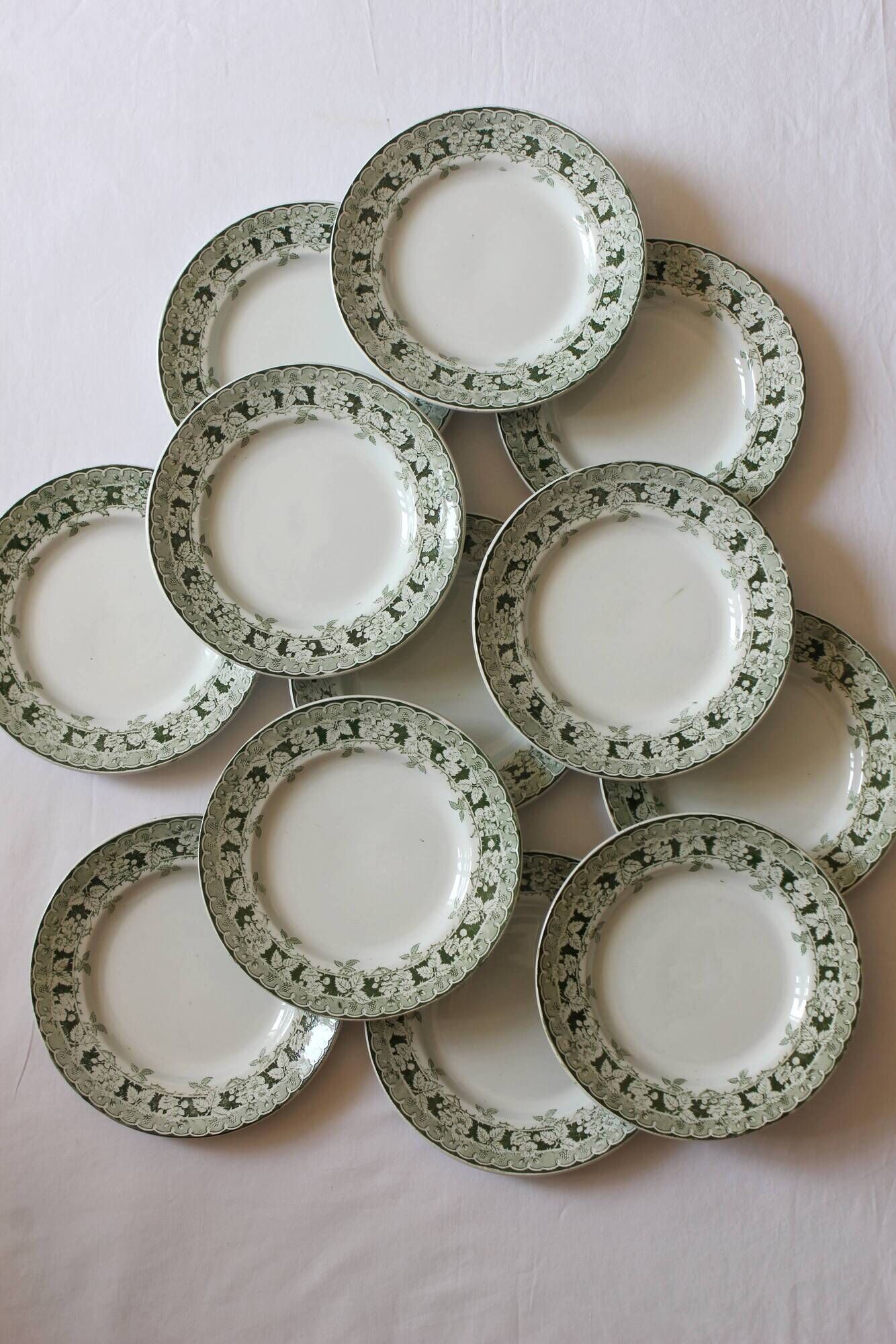 12 flat plates in iron earth model "Mulberry" Saint Amand and Hamage early twentieth century