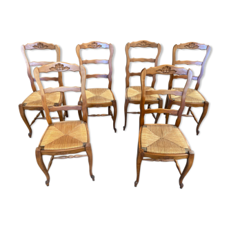 Lot de 6 chaises en chêne paillées