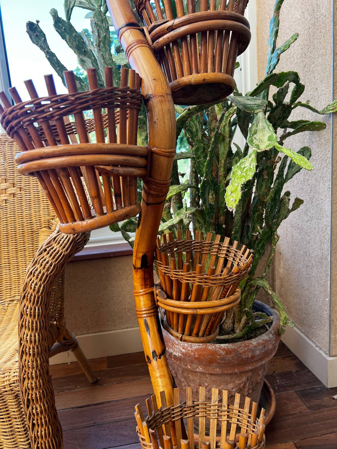 Rattan cobra plant holder