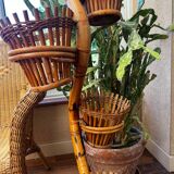 Rattan cobra plant holder