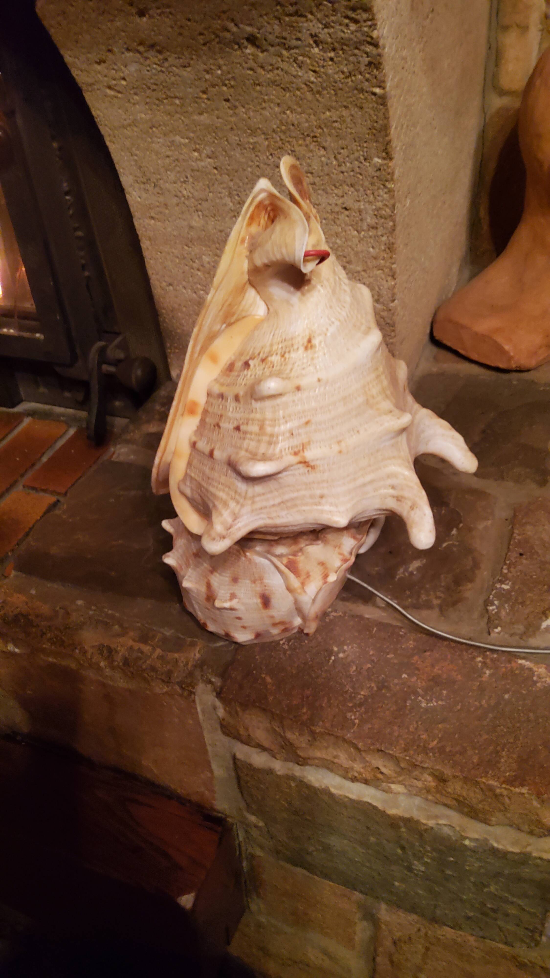 Shell lamp from the 50s
