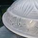 Authentic Vintage Art Deco Molded Glass Ceiling Light - France 1930
