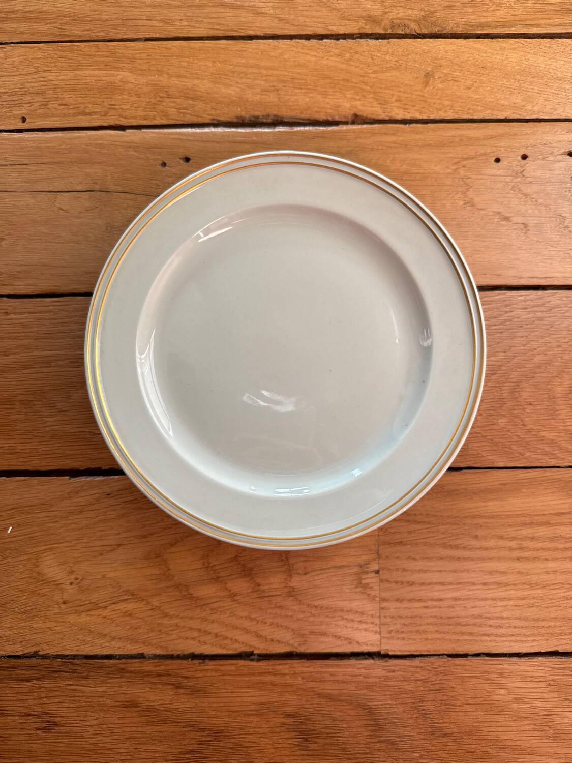 Small Limoges porcelain plates