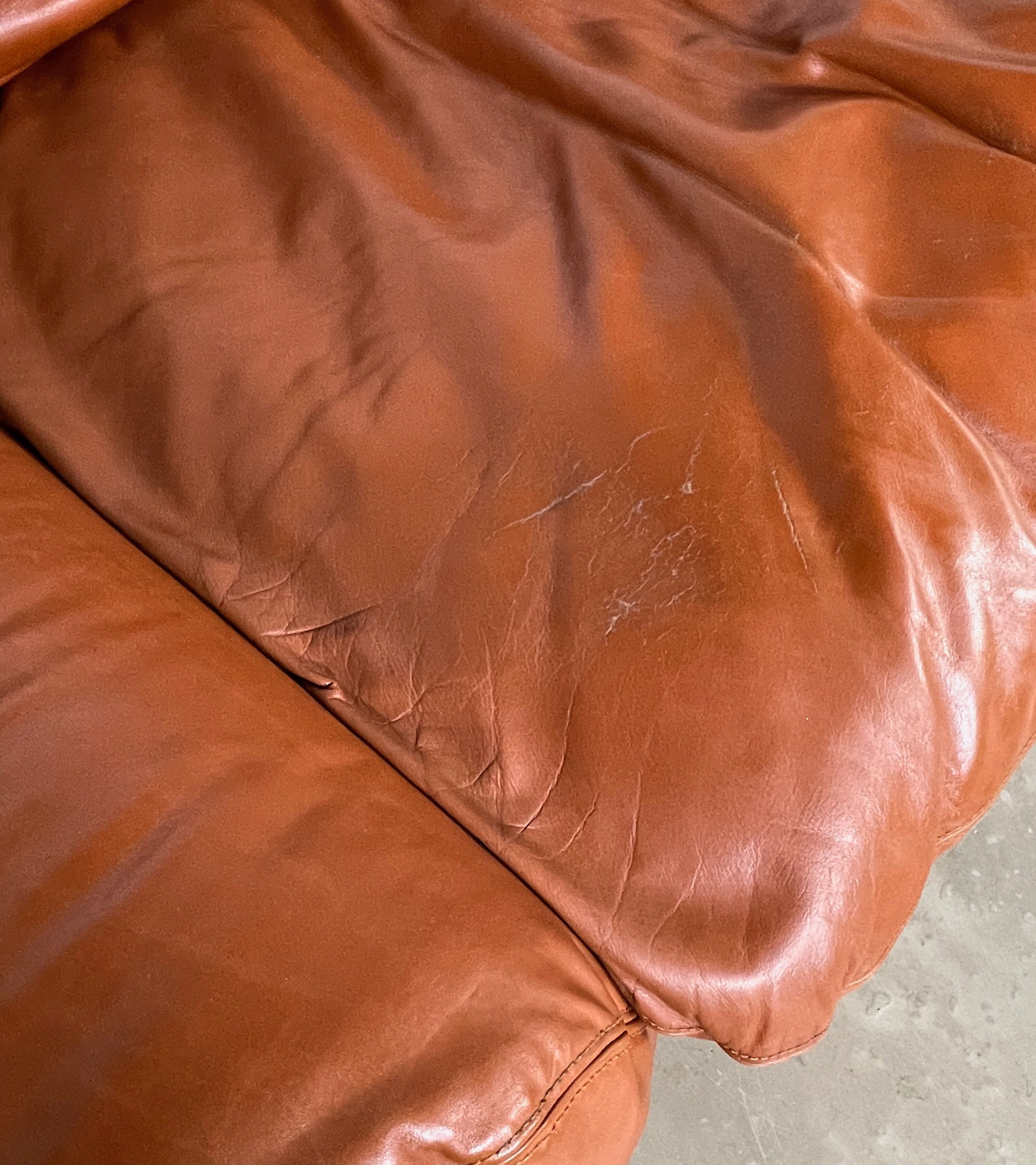 Sofa "Bengodi" by Cini Boeri for Arflex, Italy 1960's