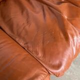 Sofa "Bengodi" by Cini Boeri for Arflex, Italy 1960's