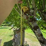 Antique chandelier from the 1930s