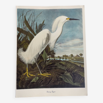 Bird board by JJ Audubon - Snowy Egret - 1978. Zoological & ornithological illustration