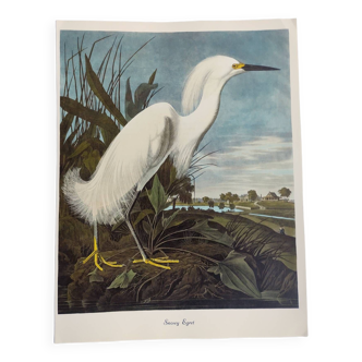 Bird board by JJ Audubon - Snowy Egret - 1978. Zoological & ornithological illustration