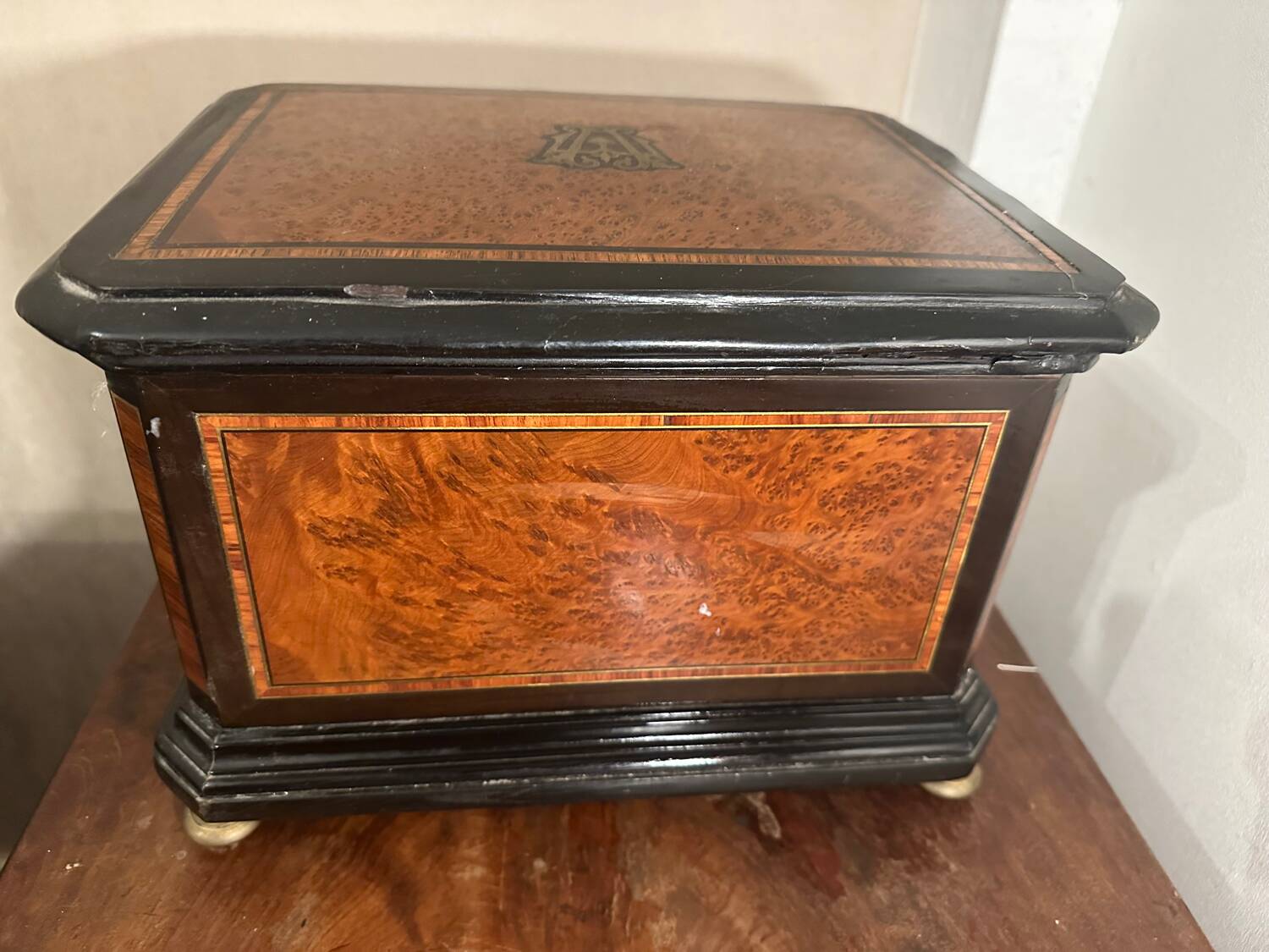 Boîte à Cigares XIXe Siècle - Loupe De Thuya Et Bois Noir - Décorative