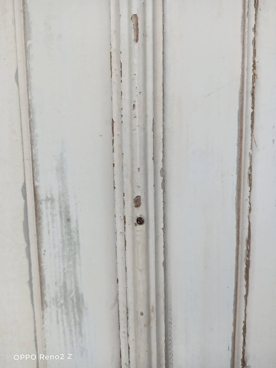 XXL Parisian wardrobe