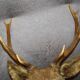 Deer head 10 horns