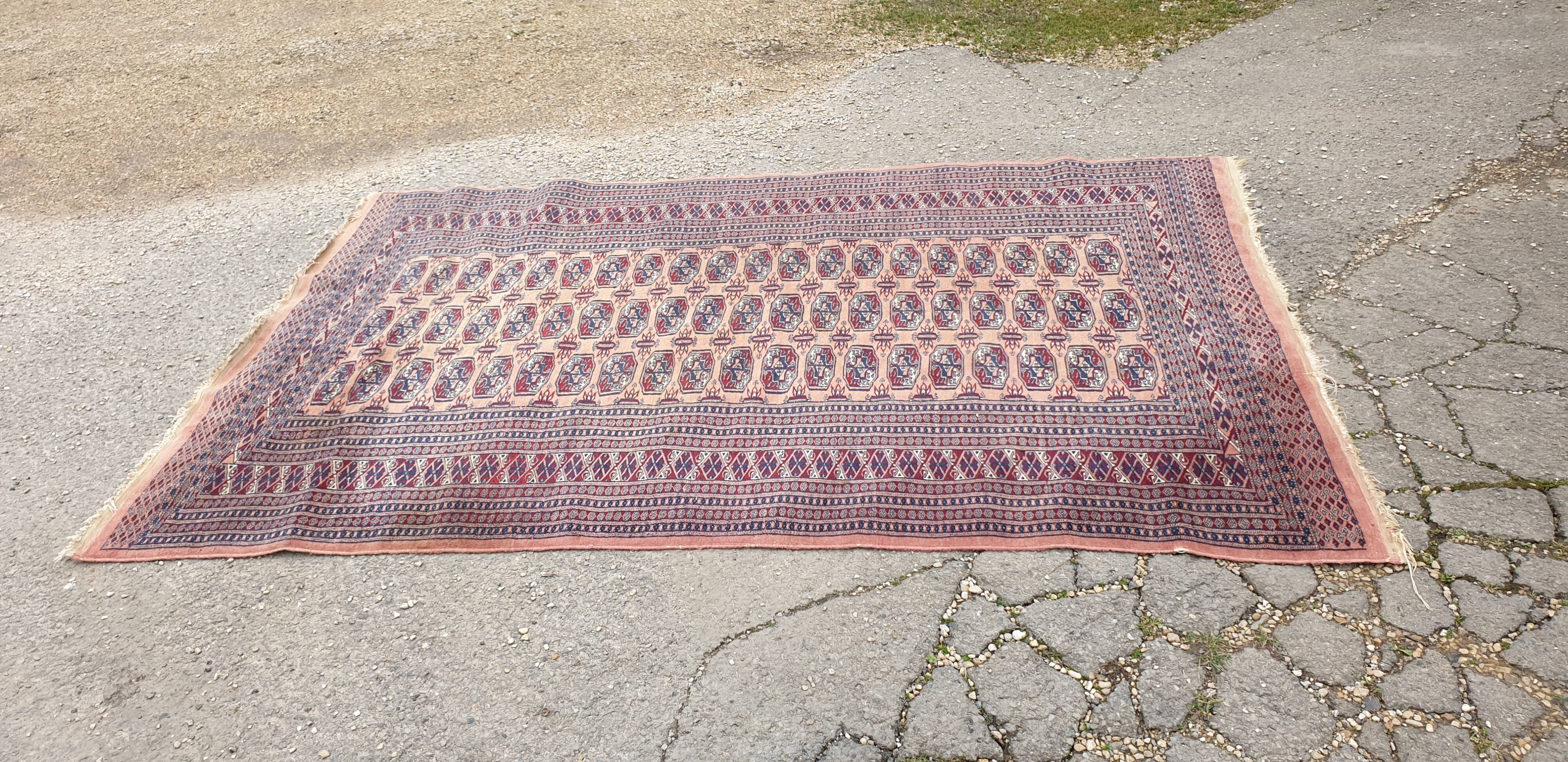 Oriental carpet wool of oneself