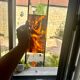 Vintage 70's lucite plexi tortoiseshell magazine rack