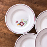 8 plates Salins model Janine