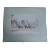 Old photograph 1900 cart, coachman and horses