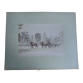 Old photograph from 1900 of a carriage, coachman, and horses.