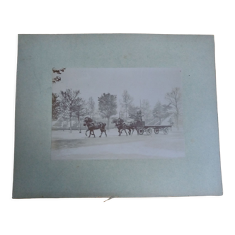 Photographie ancienne 1900 carriole cocher et chevaux