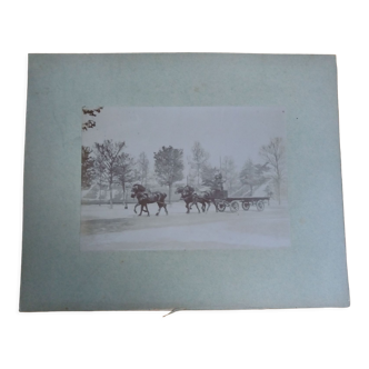 Old photograph 1900 cart, coachman and horses