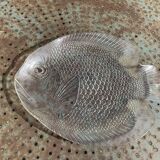 Large fish-shaped dish in transparent glass, made in France, vintage 1970