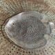 Grand plat en forme de poisson en verre transparent, made in france, vintage 1970