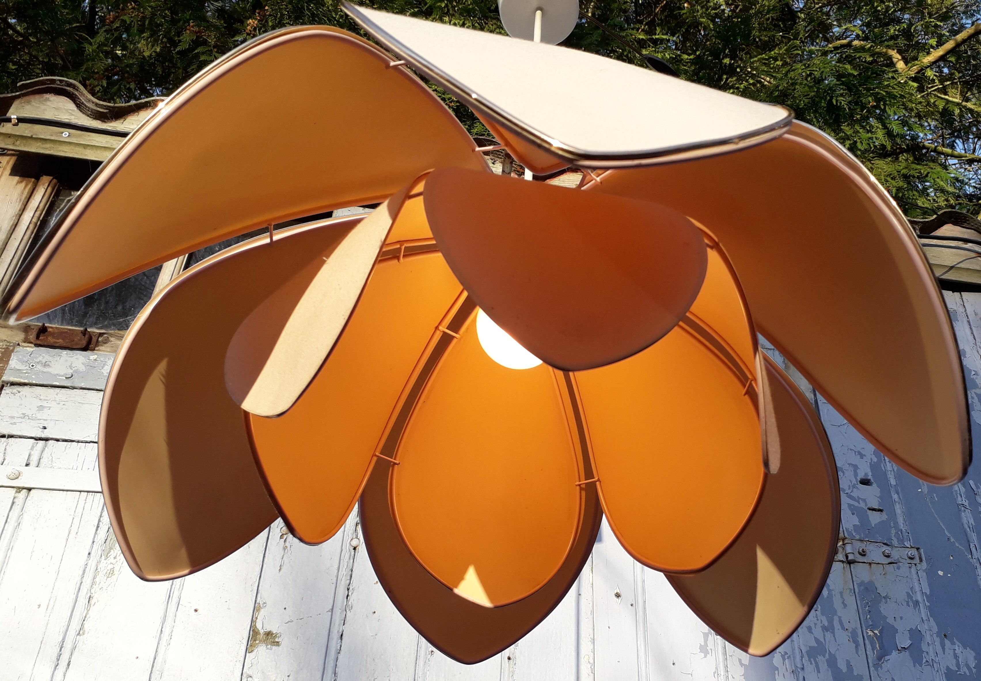 Suspension flower petals