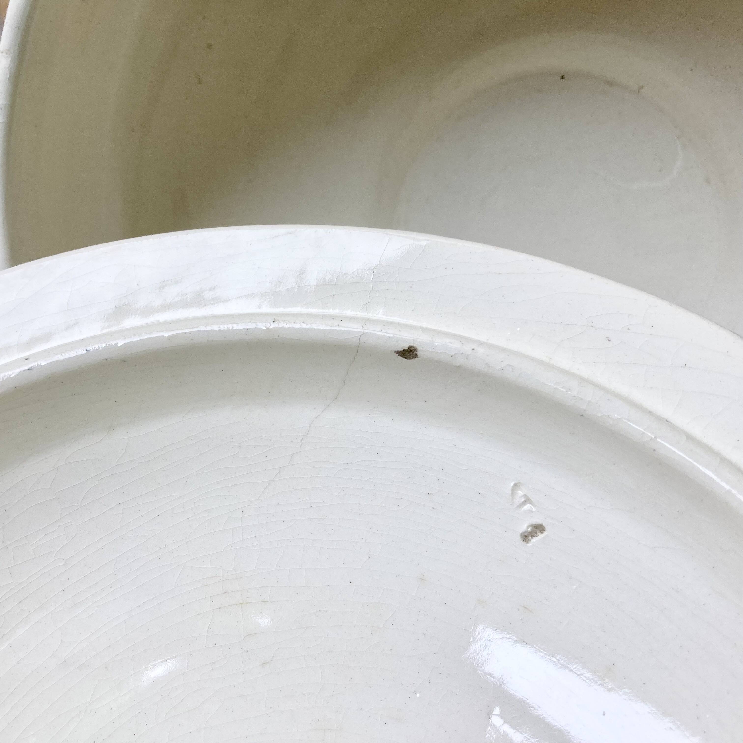 Soupière / légumier Saint-Amand "Guadeloupe"