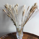 Crystal vase of arques
