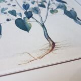 Print flower