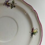 Lunch cup St Amand Vieux Strasbourg à la mouche