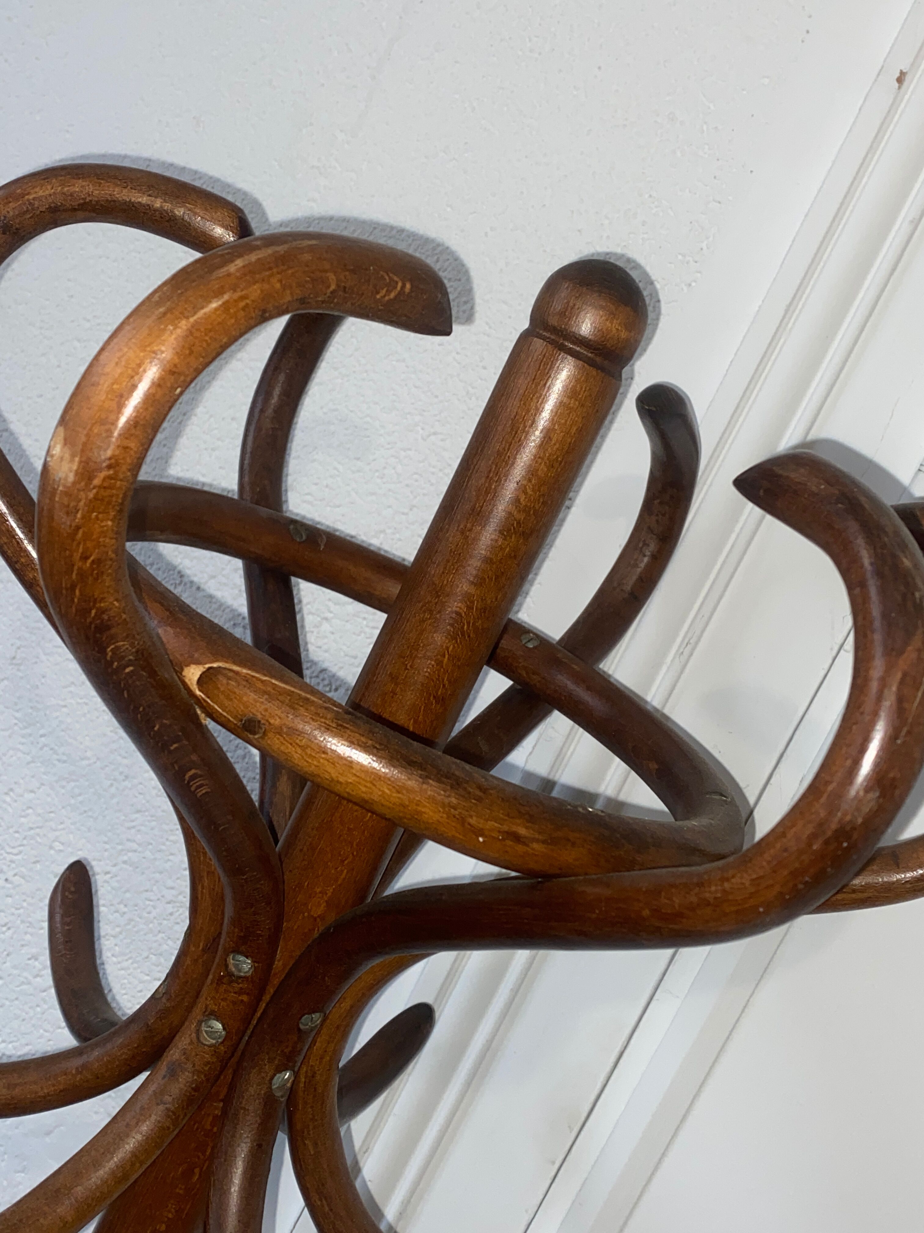 Coat rack parrot wood curved