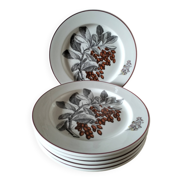 Assiettes Villeroy & Boch