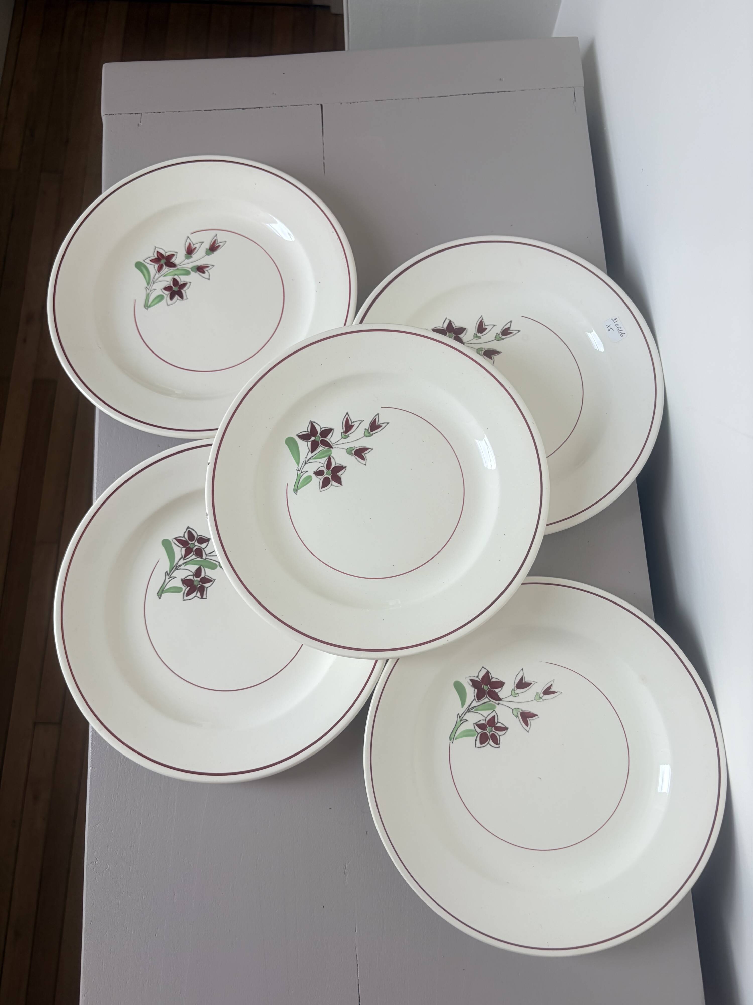 5 flat plates from Salins 210646