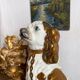 Chien Straffordshire , cavalier King, Charles