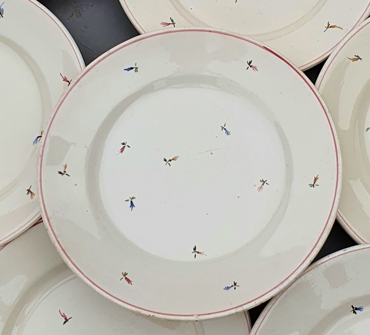 8 flat plates with earthenware seedings of multicolored florets