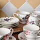 Set of fine porcelain tea cups & saucers 222 FIFTH "Wild Flower"