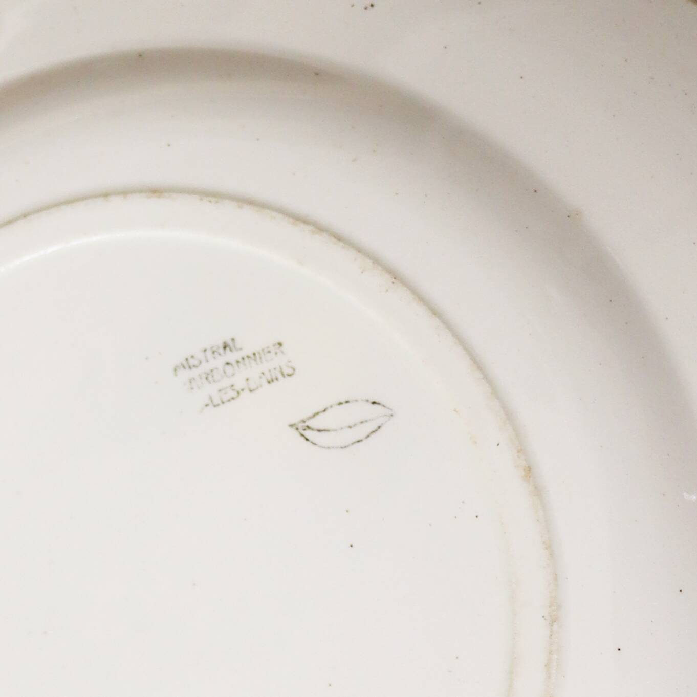 Charbonnier plate dish Salins les Bains