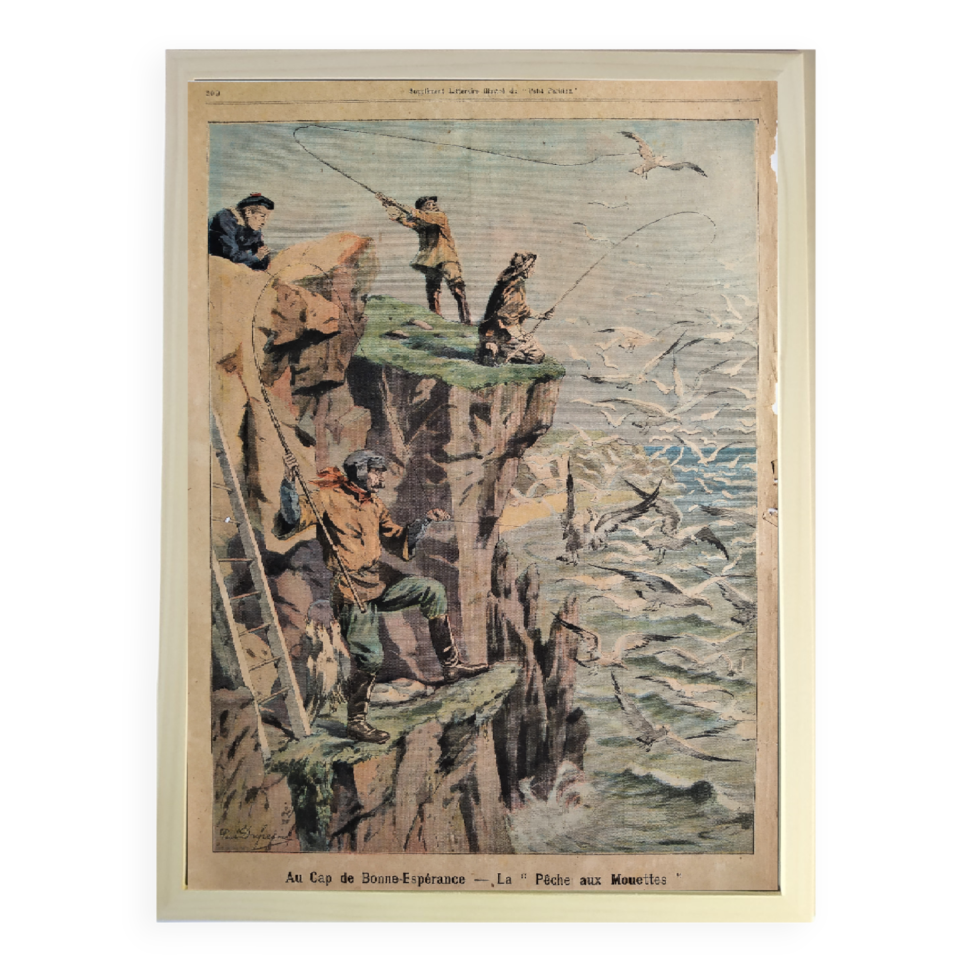 Au Cap de Bonne-Espérance en 1904