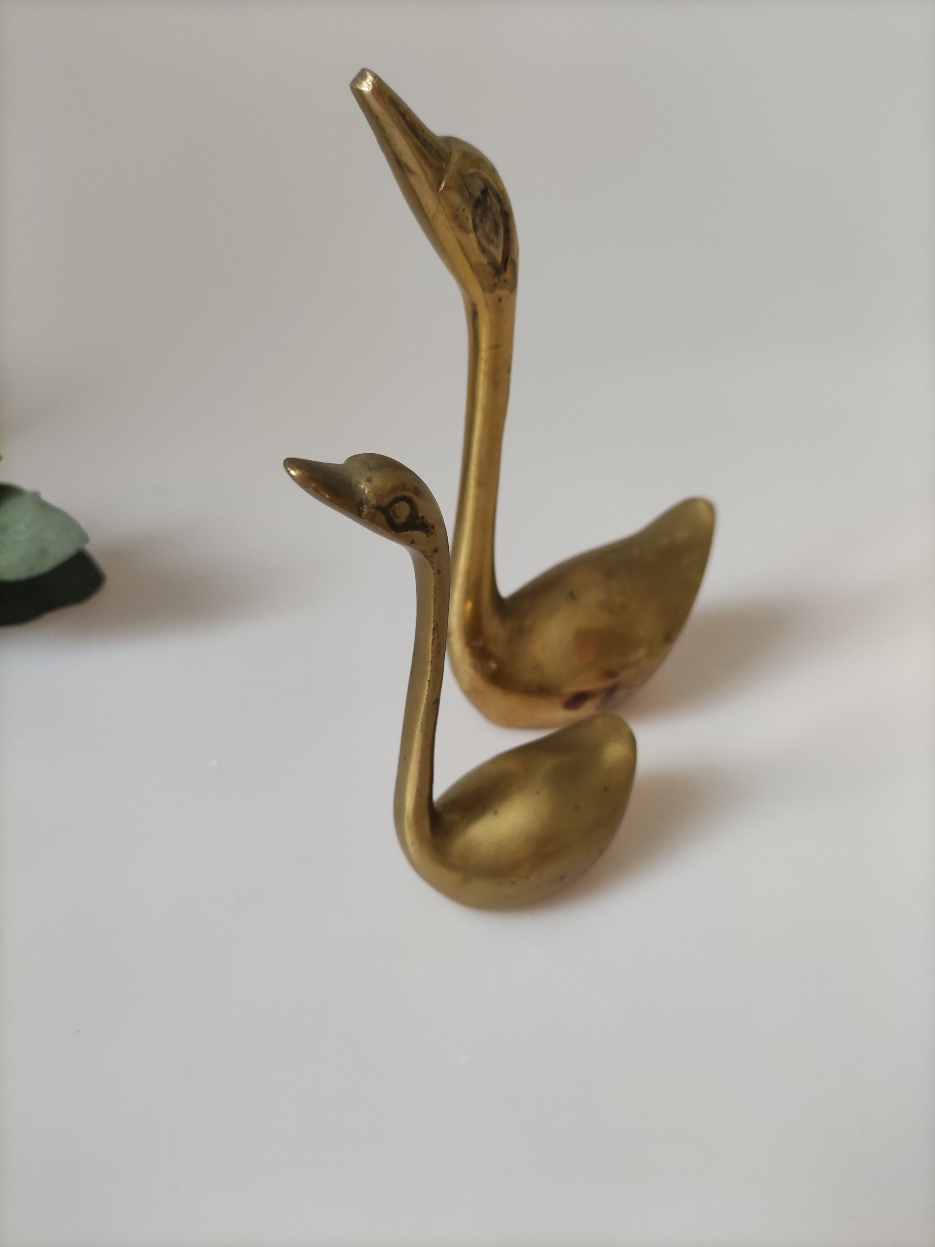 Golden brass swan duo