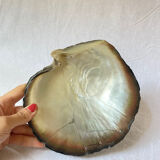 Mother-of-pearl shell