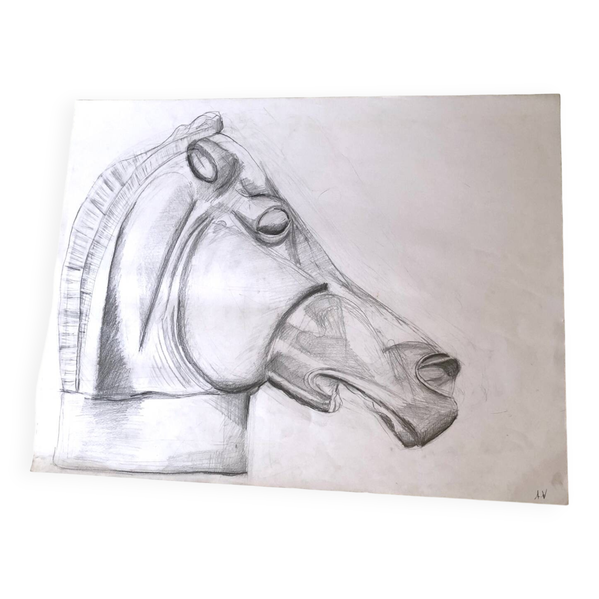 Illustration Horse