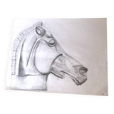 Illustration Cheval