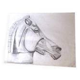 Illustration Horse