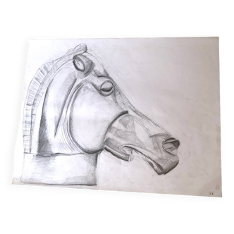 Horse Illustration
