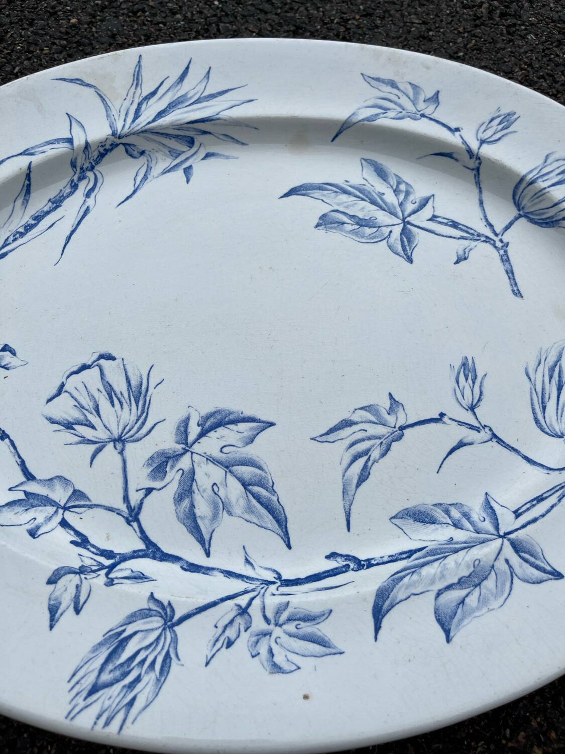 Large 19th century serving dish in English ironstone earthenware NWPCo Burslem "The Cotton Plant"