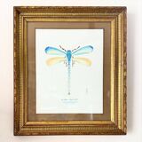 Blue dragonfly frame