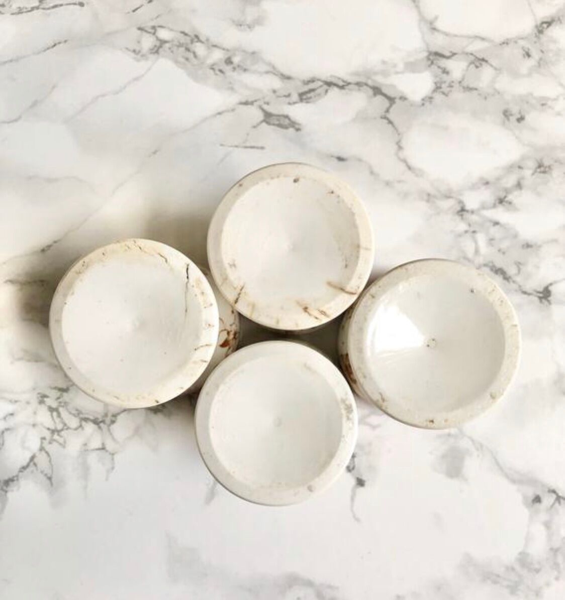 Suite of 4 old porcelain cockroaches decorated with sepia-printed leaves