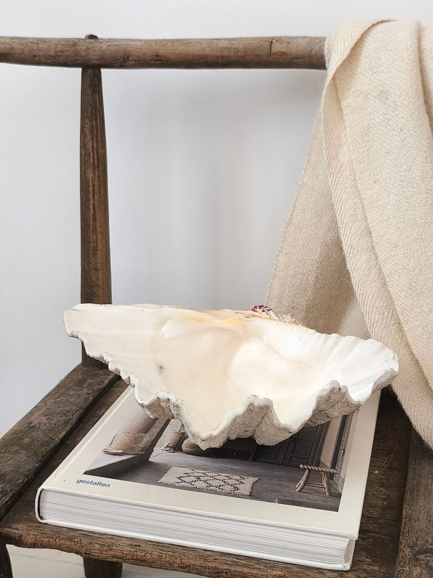 Vintage scallop shell