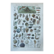 Botanical plate 1927, 18.5x27.5cm